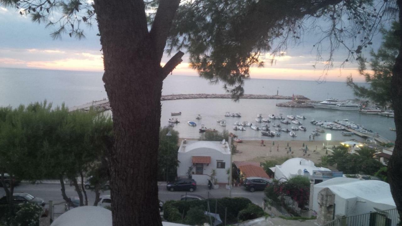 Blu Marine Casa A 10Mt Dalla Spiaggia Peschici Exteriér fotografie