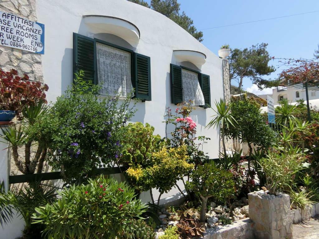 Blu Marine Casa A 10Mt Dalla Spiaggia Peschici Exteriér fotografie